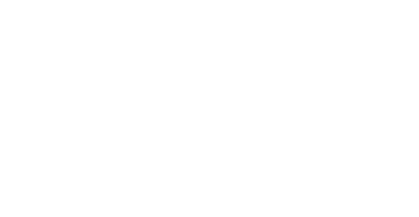 CLO2-Darstellung-IT